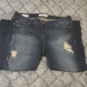 Predistressed Boyfriend cut jeans from Torrid
